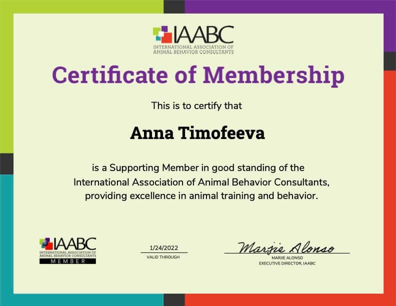 Сертификат членства Анны Тимофеевой в IAABC
