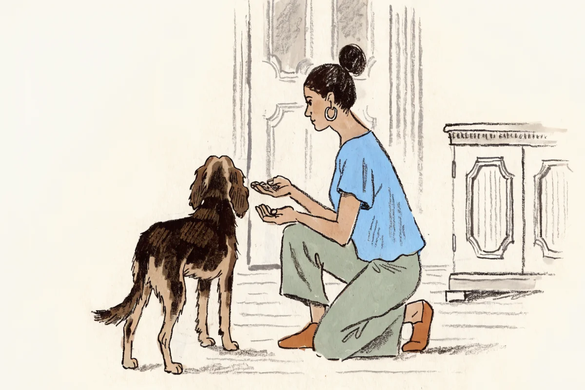 Собака отвернулась от хозяина