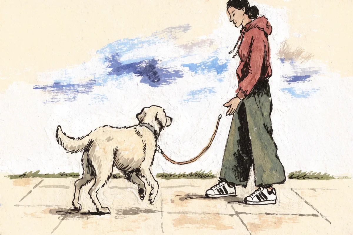 Собака идет на провисшем поводке рядом с хозяином